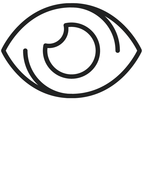 Vision Insurance Icon