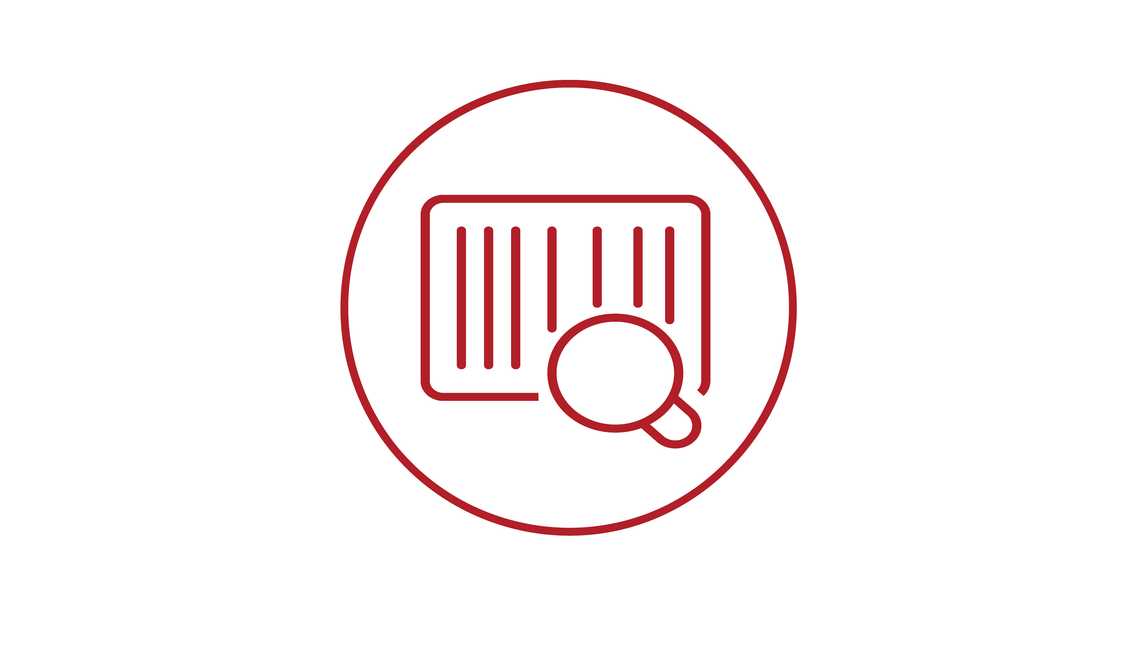 Red icon of a document with horizontal lines and a magnifying glass overlaying it, suggesting analysis or review.