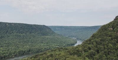 Tennessee Pathways Connects Students with Opportunities Across the State