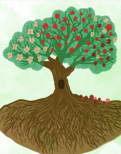 Illustrated tree with roots visible. Left branches have white flowers, right branches have red apples. Light green background.