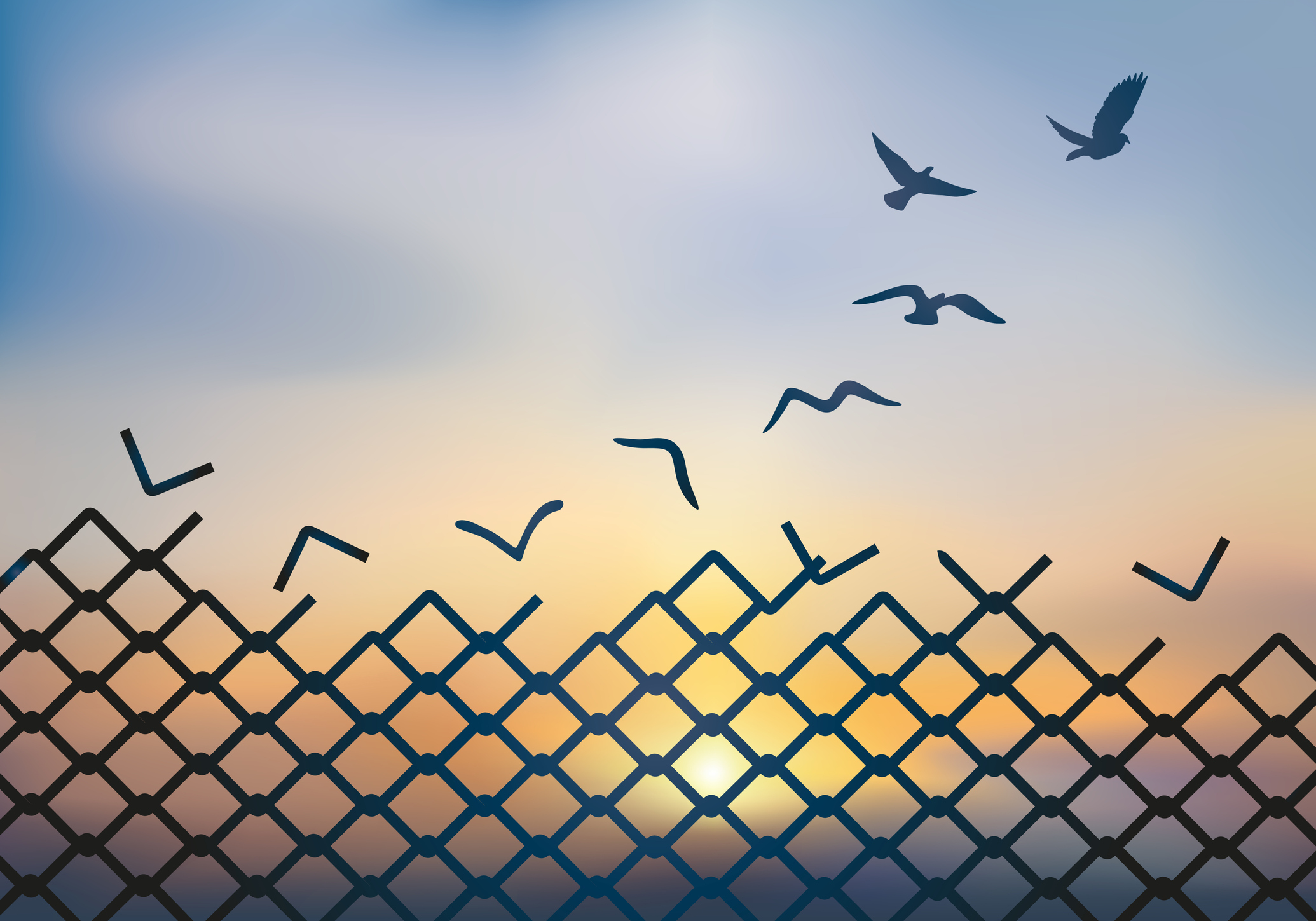Silhouetted birds flying over a bent chain-link fence against a colorful sunset sky.