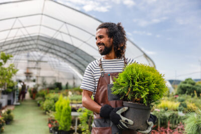 A person wearing a striped shirt and apron smiles while holding a potted shrub inside a greenhouse filled with plants.
