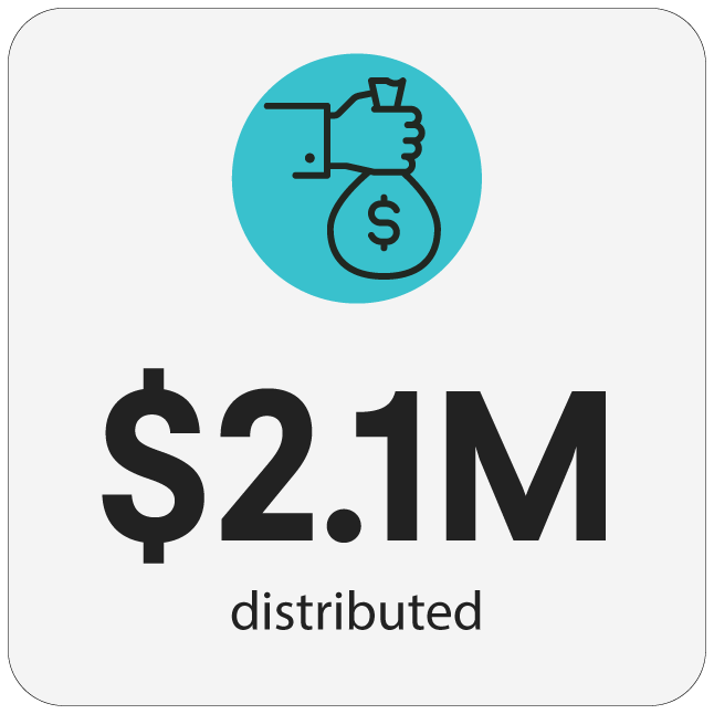 Icon of a hand holding a money bag above the text 
