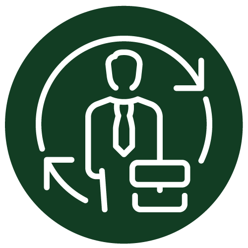 ROI Icon