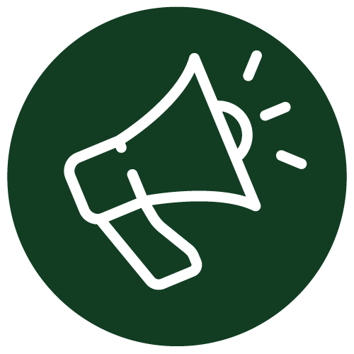 Youth Voice