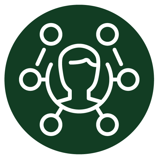larger organizational strategy icon
