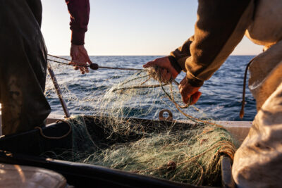 Two people on a boat pull fishing nets from a container with the ocean visible in the background, under natural daylight.